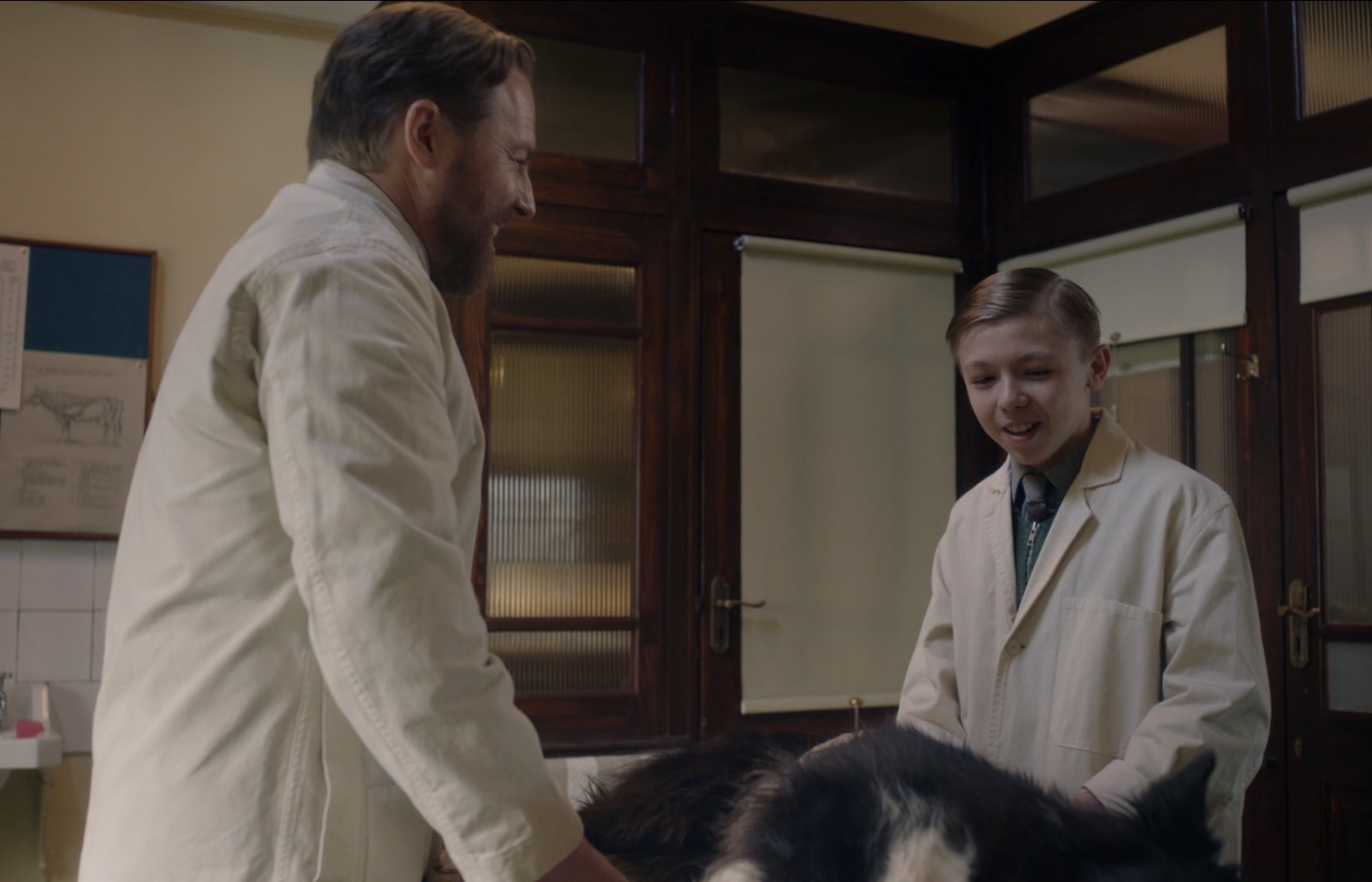 Picture shows: Siegfried (Samuel West) and Andrew (Austin Haynes), both wearing white coats, stand on either side of the operating table following the successful treatment of the injured dog. She's still unconscious.
