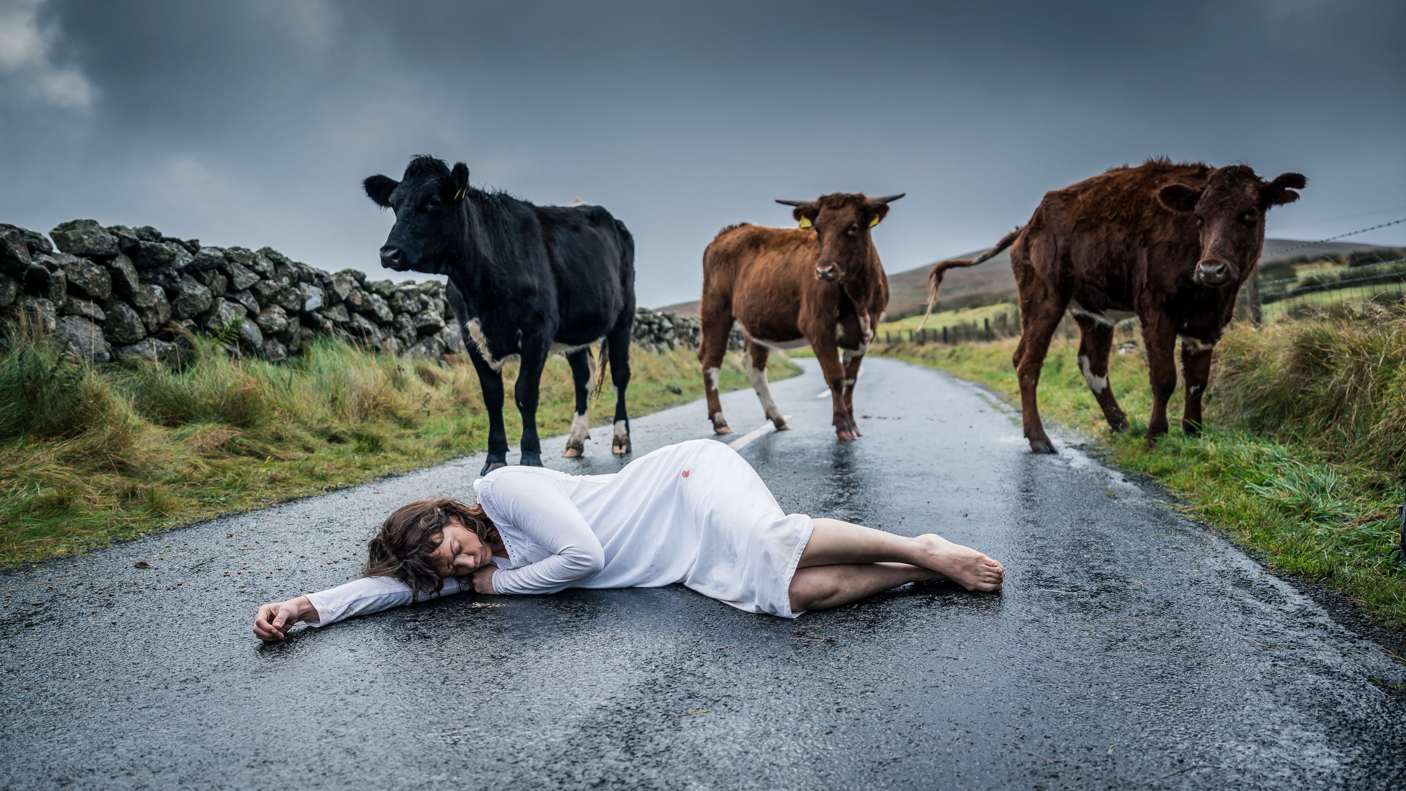 Ruth Wilson as Lorna Brady lies in the middle of the road surrounded by concerned cows in 'The Woman in the Wall'