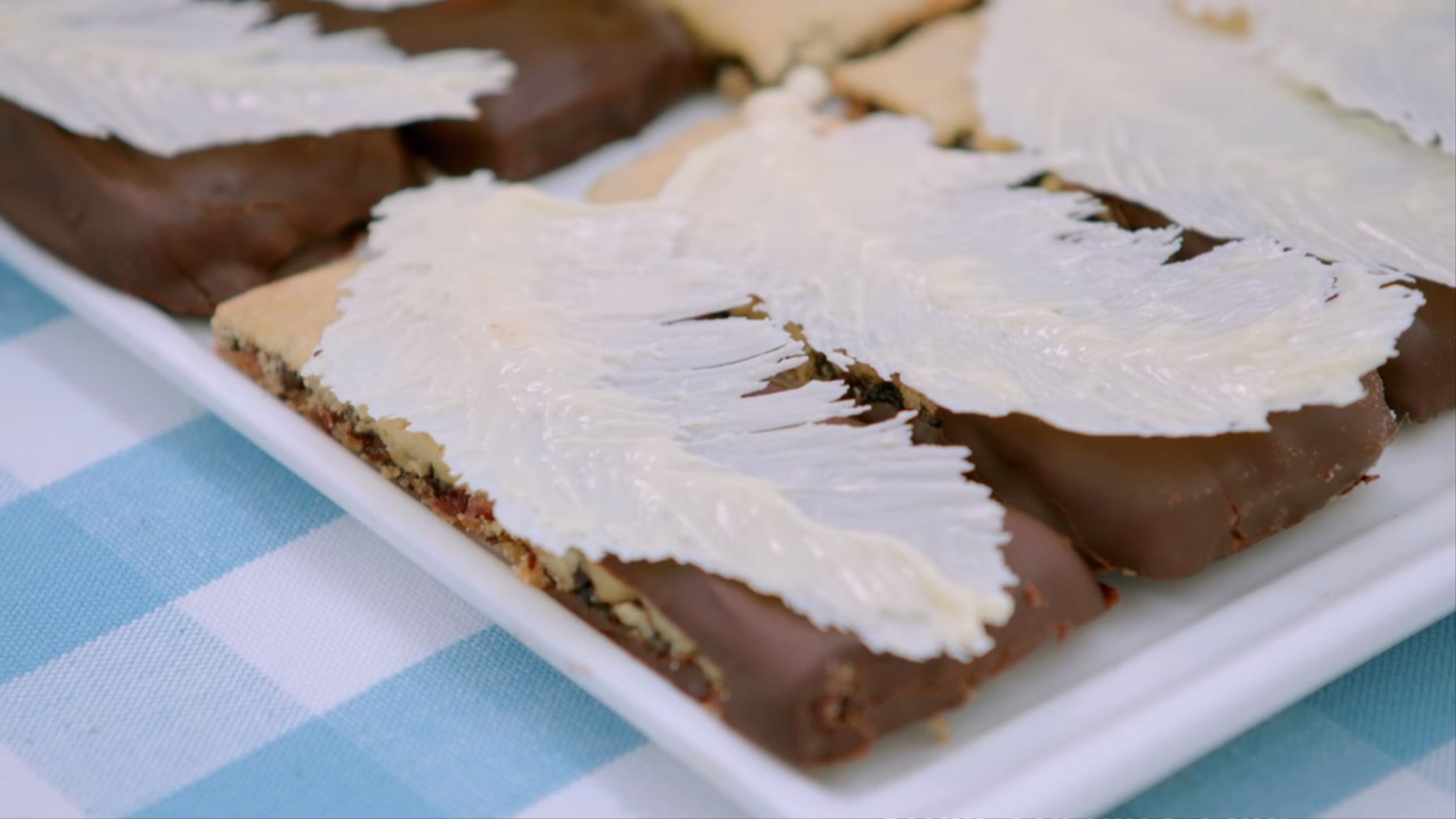 Syabira "Feathered" Garibaldi Biscuit Technical for Biscuit Week