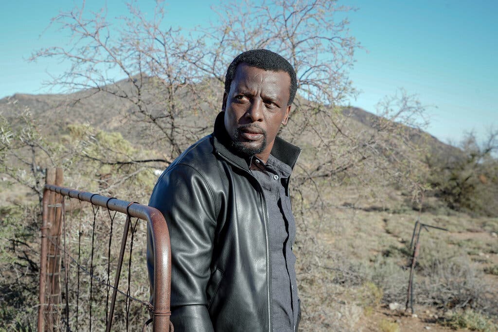 Khaya Meyer (Tony Kgoroge). @ Acorn TV