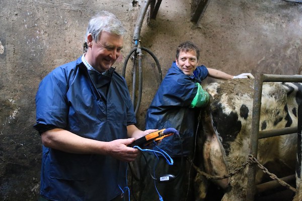 Peter and Julian hard at work. © Daisybeck Studios/Channel 5