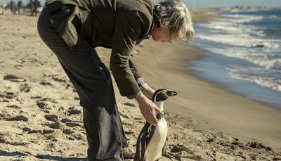 Steve Coogan and a small feathered friend in "The Penguin Lessons"