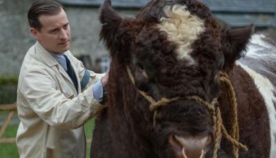 James Herriot (Nicholas Ralph) examines Clive the bull. Credit: Courtesy of © Playground Television UK Ltd & all3media international