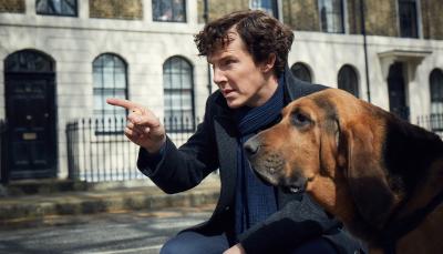 "Sherlock" star Benedict Cumberbatch and his super cute new canine companion (Photo:  Courtesy of Robert Viglasky/Hartswood Films for MASTERPIECE) 