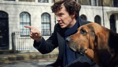 (Sherlock and his latest crime solving companion in Season 4. (Photo:  Courtesy of Robert Viglasky/Hartswood Films for MASTERPIECE)