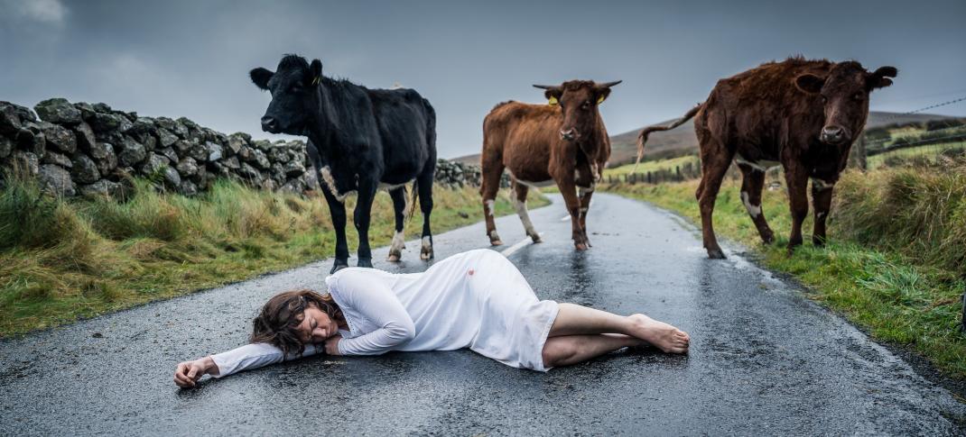 Ruth Wilson as Lorna Brady lies in the middle of the road surrounded by concerned cows in 'The Woman in the Wall'