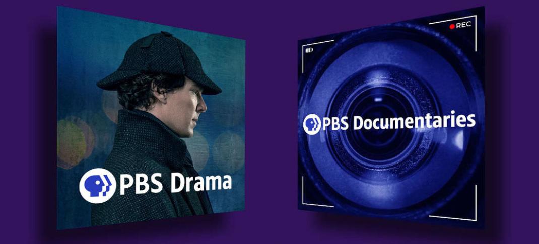 PBS Documentaries & PBS Drama Fast Channel Key Art