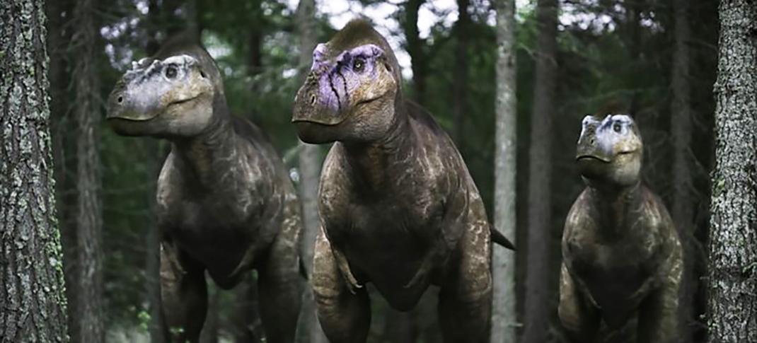 An Albertosaurus Trio in 'Walking With Dinosaurs'