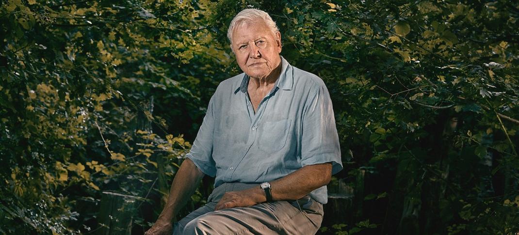 Picture shows: David Attenborough