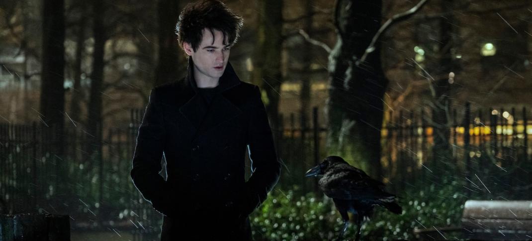 Tom Sturridge (and Matthew the Raven) in "The Sandman"