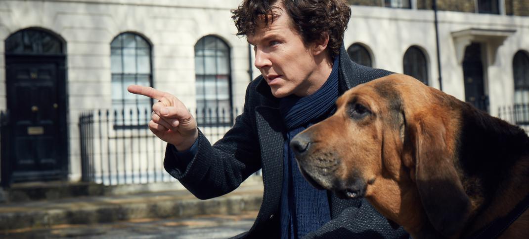 "Sherlock" star Benedict Cumberbatch and his super cute new canine companion (Photo:  Courtesy of Robert Viglasky/Hartswood Films for MASTERPIECE) 