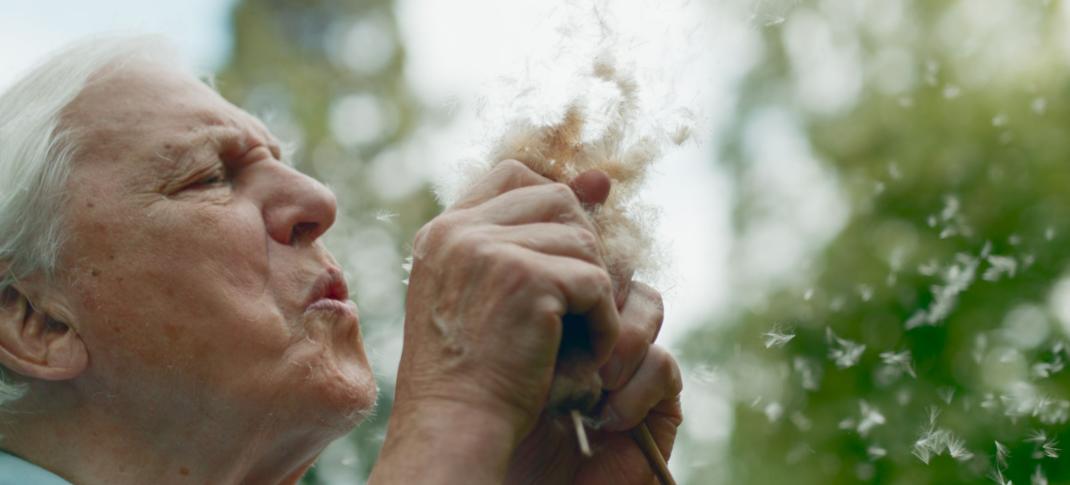 Sir David Attenborough in The Green Planet