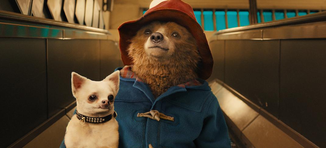 Paddington is back to traveling in Paddington 3