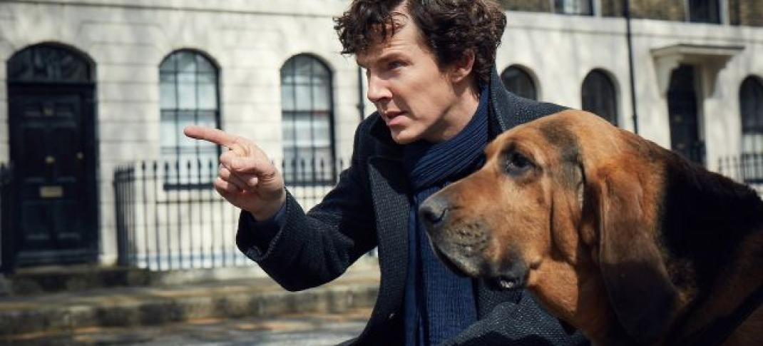 (Sherlock and his latest crime solving companion in Season 4. (Photo:  Courtesy of Robert Viglasky/Hartswood Films for MASTERPIECE)