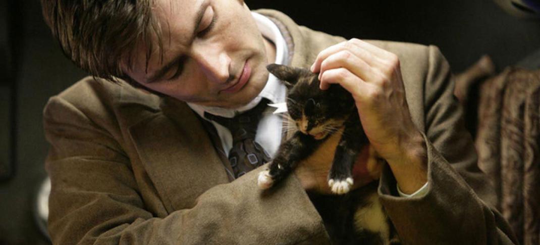 The Tenth Doctor and an adorable kitten, courtesy of Tennant's time on "Doctor Who". (Photo: BBC)