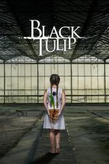 Black Tulip: show-poster2x3