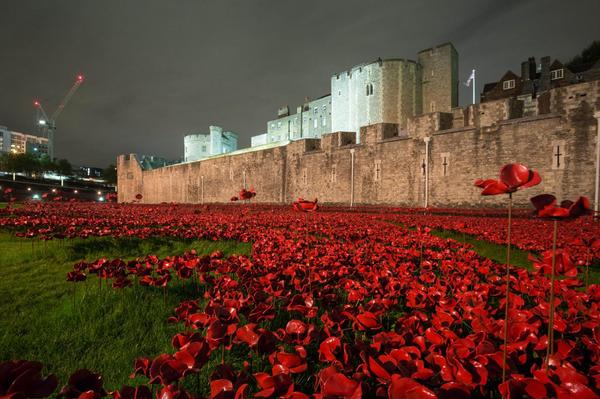 The gorgeous "Tower Poppies" installation at night. (Photo: Historic Royal Palaces/Tower of London via Twitter)